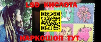 PSILOCYBIN Можга