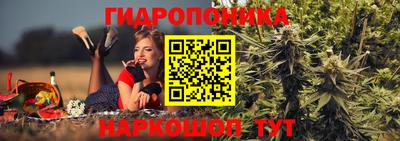 PSILOCYBIN Можга