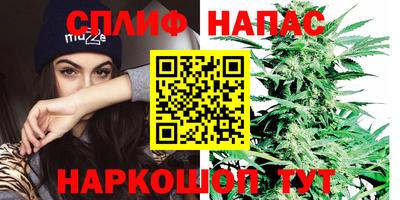 PSILOCYBIN Можга