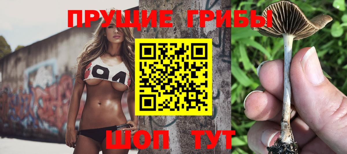 Галлюциногенные грибы Psilocybe Феодосия